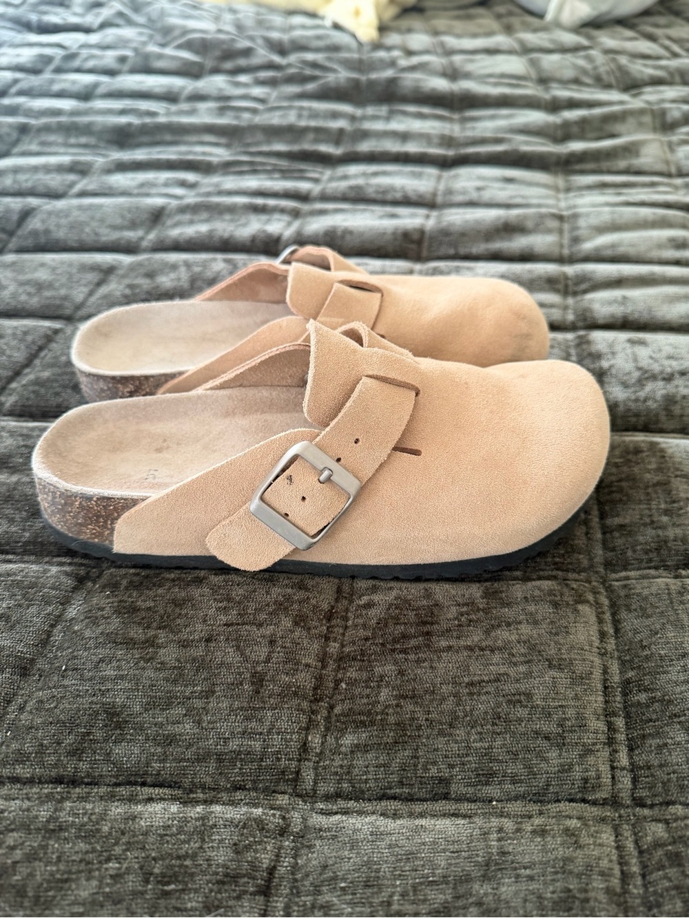 Quince Tan Suede Slip-On Clog with Buckle